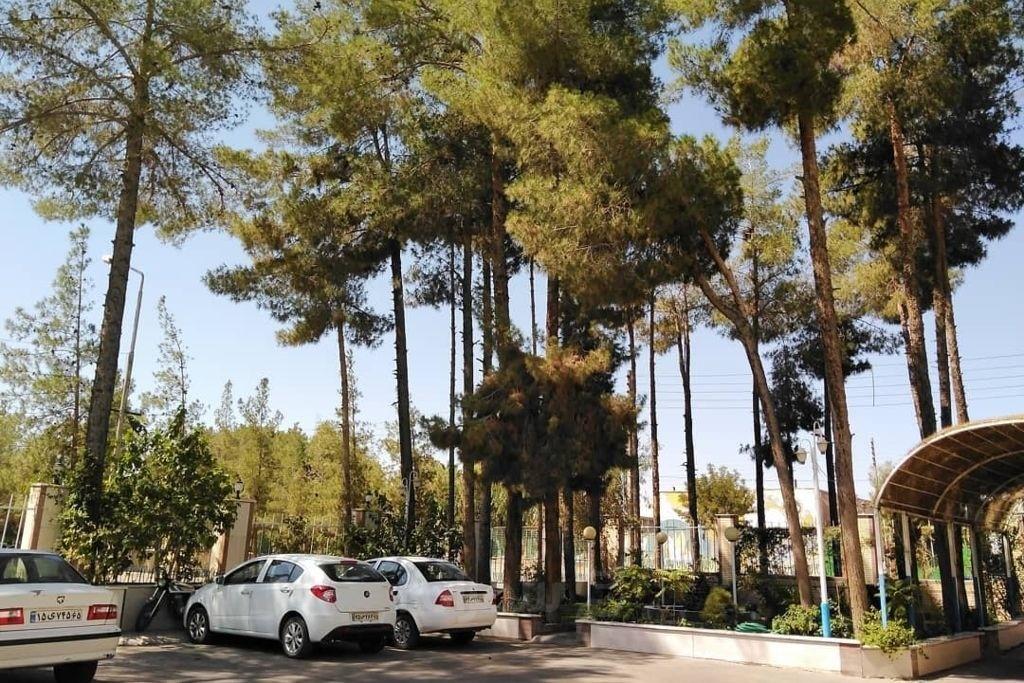 هتل جهانگردی رفسنجان