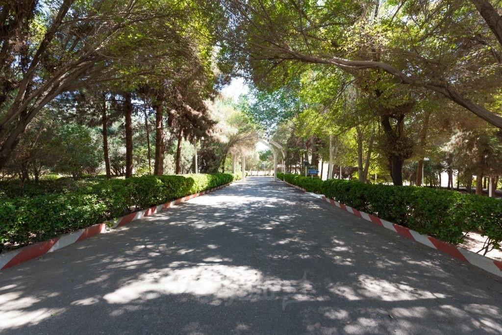 هتل کاروان یزد