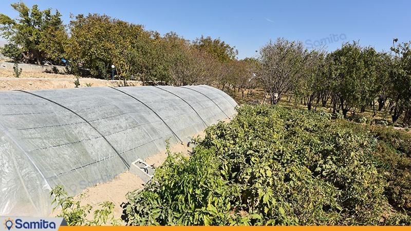 باغ اقامتگاه بوم گردی شاهدان نجف آباد