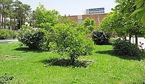 مهمانسرای جهانگردی فیروزآباد