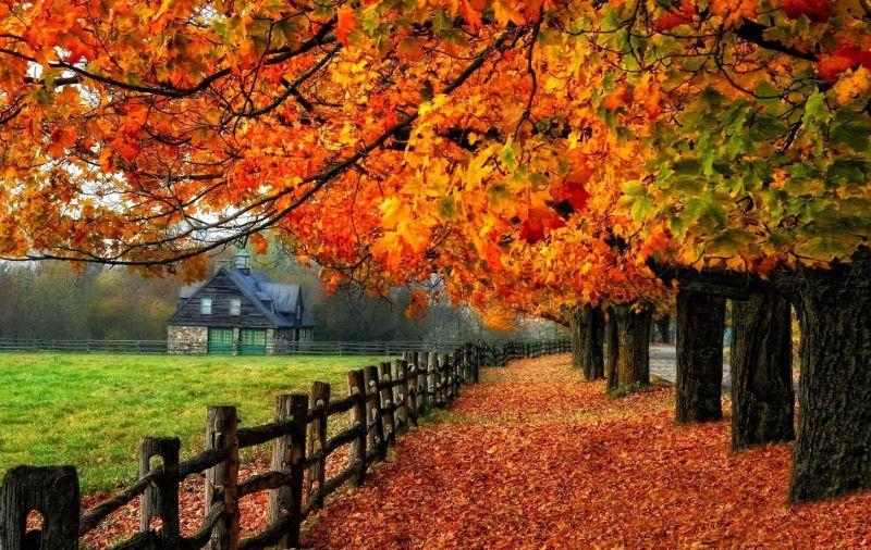 جاهای دیدنی ایران در پاییز | ماجراجویی در این فصل رنگارنگ