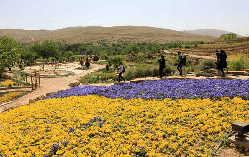 باغ گل های شیراز، اردیبهشت شیراز بوی گل می دهد!