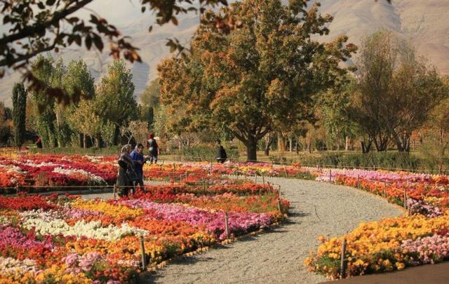 جاهای دیدنی کرج | لیست کامل همراه با تصاویر و مسیرهای دسترسی