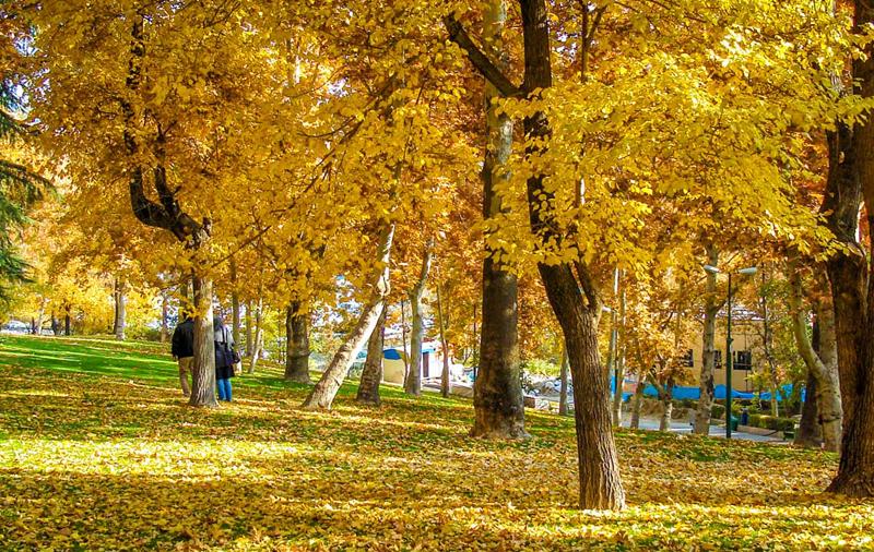 بهترین پارک های تهران برای پیکنیک و تفریح + آدرس و عکس