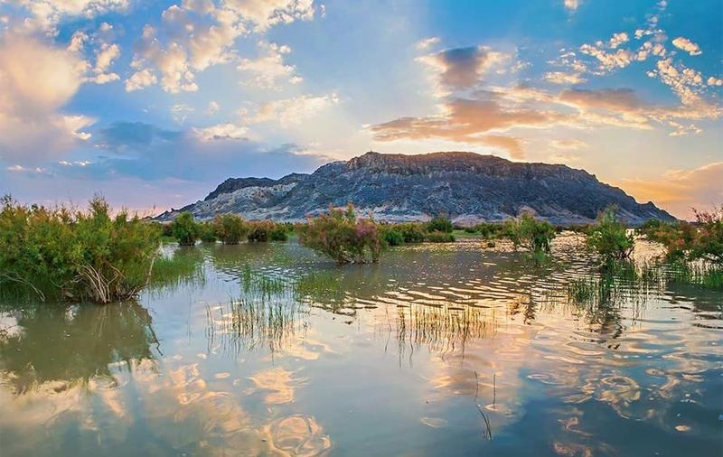 دریاچه هامون | سومین دریاچه بزرگ ایران