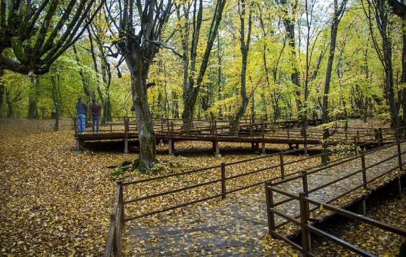 جاهای دیدنی گرگان | سفر برای گردش در دل طبیعت و تماشای آثار تاریخی