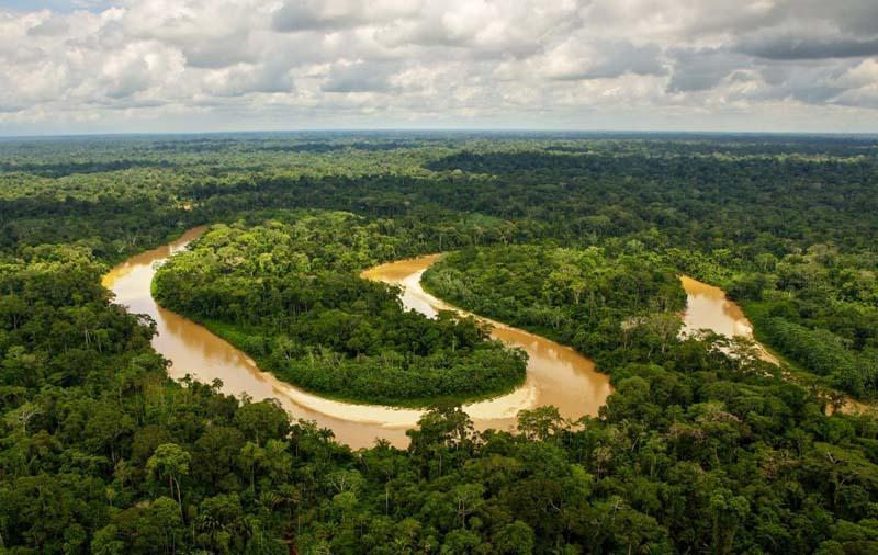 جنگل های آمازون | بزرگترین جنگل بارانی دنیا