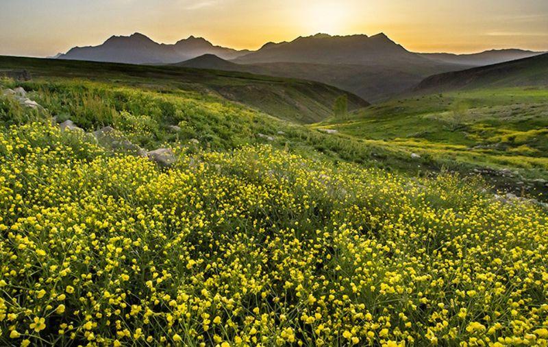 مسافرخانه های شهرکرد + شماره تماس و آدرس
