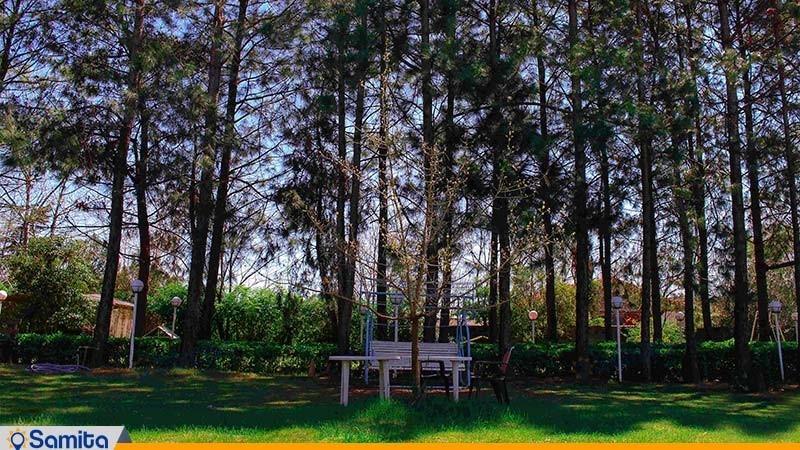 محوطه مجتمع اقامتی زیبا کنار بندر انزلی