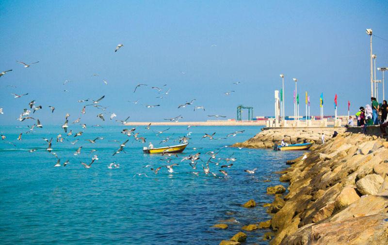 جاهای دیدنی بوشهر | سفر به یک شهر تاریخی در ساحل خلیج فارس
